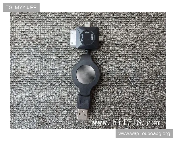 欧博商贸官网首页详细解析公司主营产品与市场覆盖范围 欧博商贸官网首页详细解析公司主营产品与市场覆盖范围