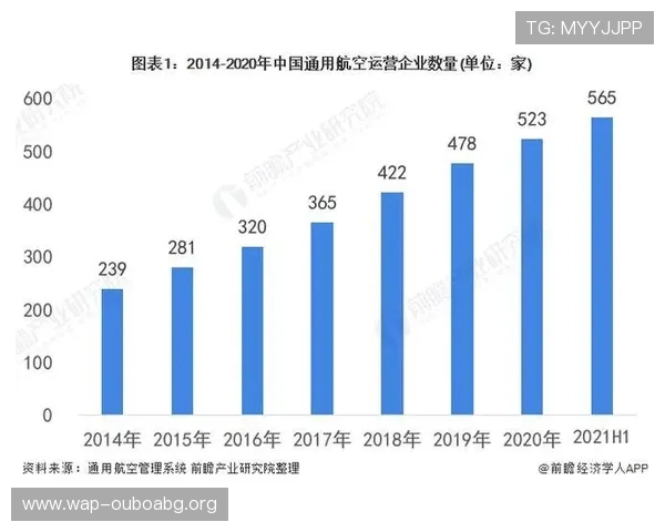 欧博管理网在企业信息化建设中的重要作用与未来发展趋势
