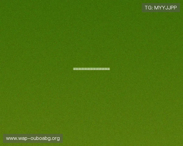 世界杯巴西对阵海地小组赛关键战全面分析与赛前预测