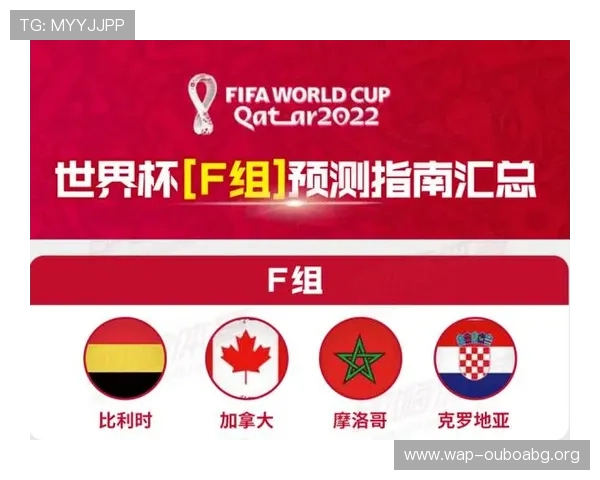 世界杯瑞士加拿大比赛前的风险提示与安全注意事项全面解析